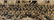 Three WWI Military Yardlong photos - 3