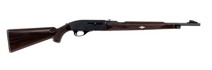 Remington Nylon 66 .22 LR Semi Auto Rifle