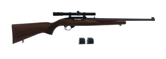 Ruger 10/22 Carbine .22 LR Semi Auto Rifle