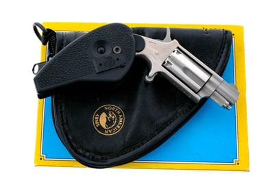 NAA .22 Magnum Holster Grip Mini Revolver