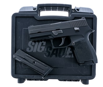 Sig Sauer P250 9mm Semi Auto Pistol
