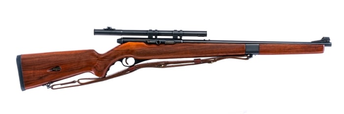 Mossberg 151M-C .22 LR Semi Auto Rifle