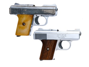 Raven Arms MP-25 .25 ACP 2Pcs Lot Pistol