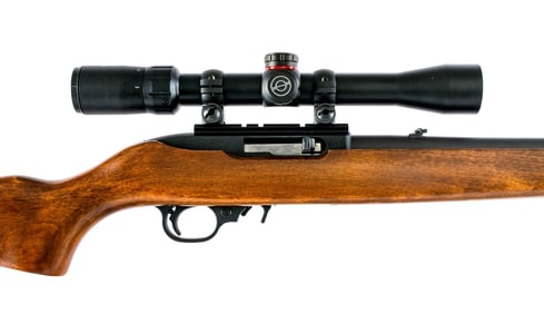 Ruger 10/22 Carbine .22 LR Semi Auto Rifle