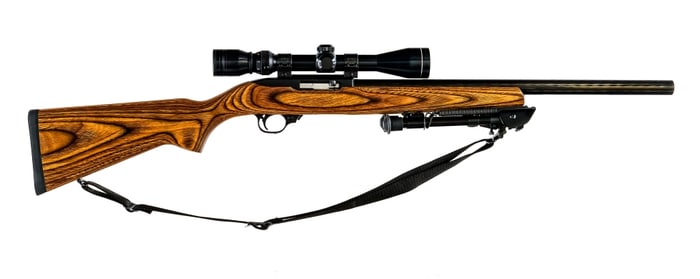 Ruger 10/22 .22 Long Rifle Semi Auto Rifle