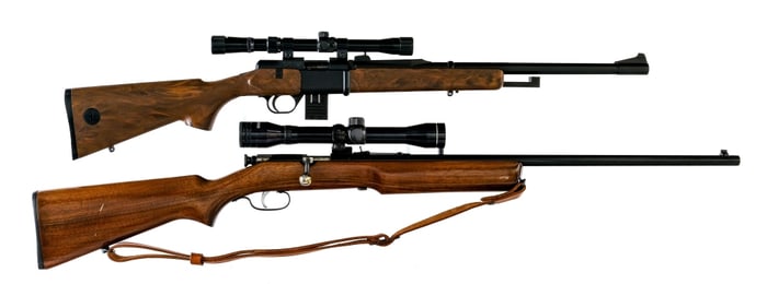 Stevens/Daisy .22 Cal Rifle Lot 2 PCS