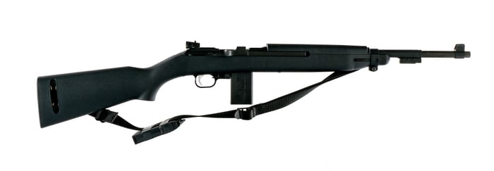 Chiappa Citadel M1-22 .22 LR Semi Auto Rifle