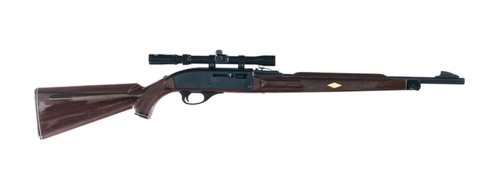 Remington Nylon 66 .22 LR Semi Auto Rifle