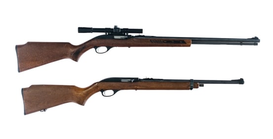 Marlin Glenfield .22 LR 2 Pcs Semi Auto Rifle