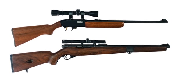 Rifles .22 2 Pcs Lot Semi Auto Rifle