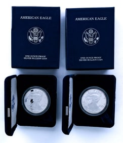 American Silver Eagle Coin 1 oz 2-Coins