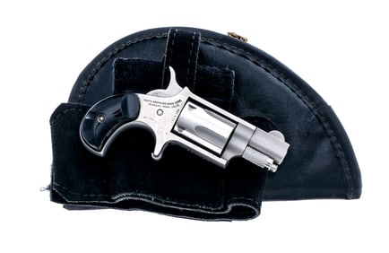 NAA Derringer .22 LR Revolver