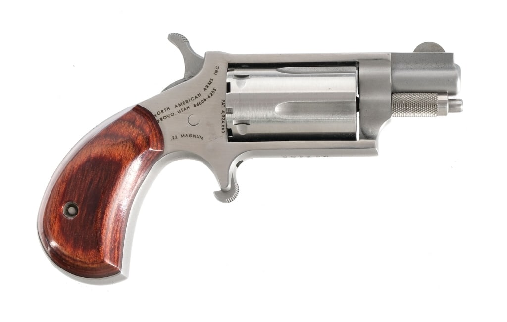 NAA Derringer .22 LR Revolver (1 of 6)