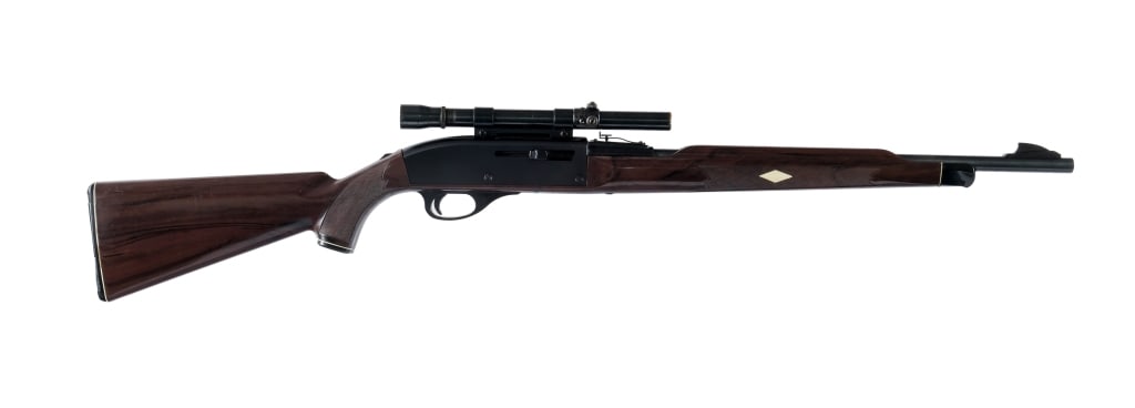 Remington Nylon 66 .22 LR Semi Auto Rifle (1 of 4)