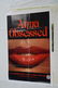 6pc Vtg X Rated Movie Posters - 5
