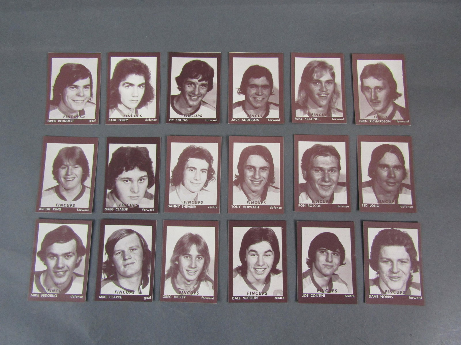 1975-'76 Hamilton Fincups: The Hamilton Fincups were a Canadian junior ice hockey team in the Ontario Major Junior Hockey League for 4 years, from 1974 to 1978. The team played in Hamilton, Ontario for three years, and in St. C