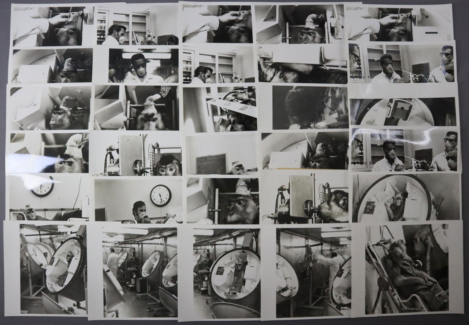 35 Original NASA Primate Experiment Photographs (1 of 3)