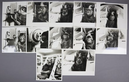 12 - Original NASA Primate Training Procedures Photographs