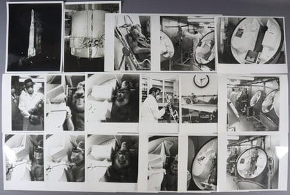 17 - NASA Primate Experiment Photographs #1