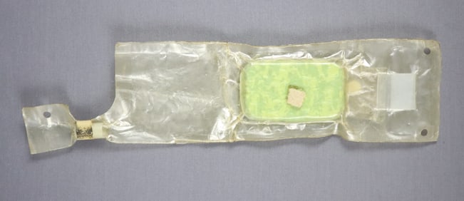 Apollo Era Space Food "Peas?"