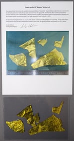 Large Sections of Flown Apollo 11 Kapton Foil