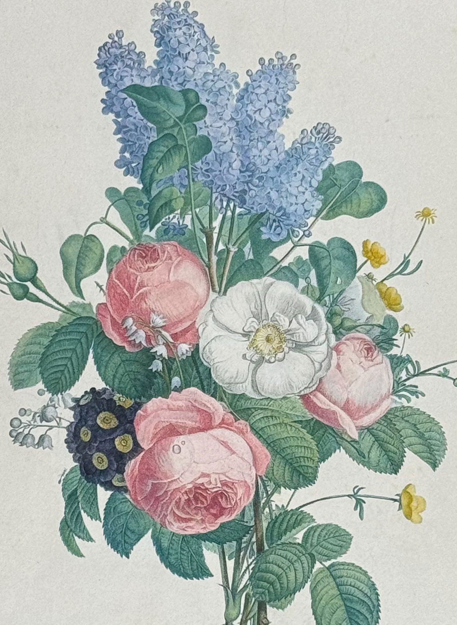 Prevost - Bouquet of Lilacs, Roses, Lily of the Valley - Bouquet de Lilas, Roses, Boutons d'Or, (1 of 2)