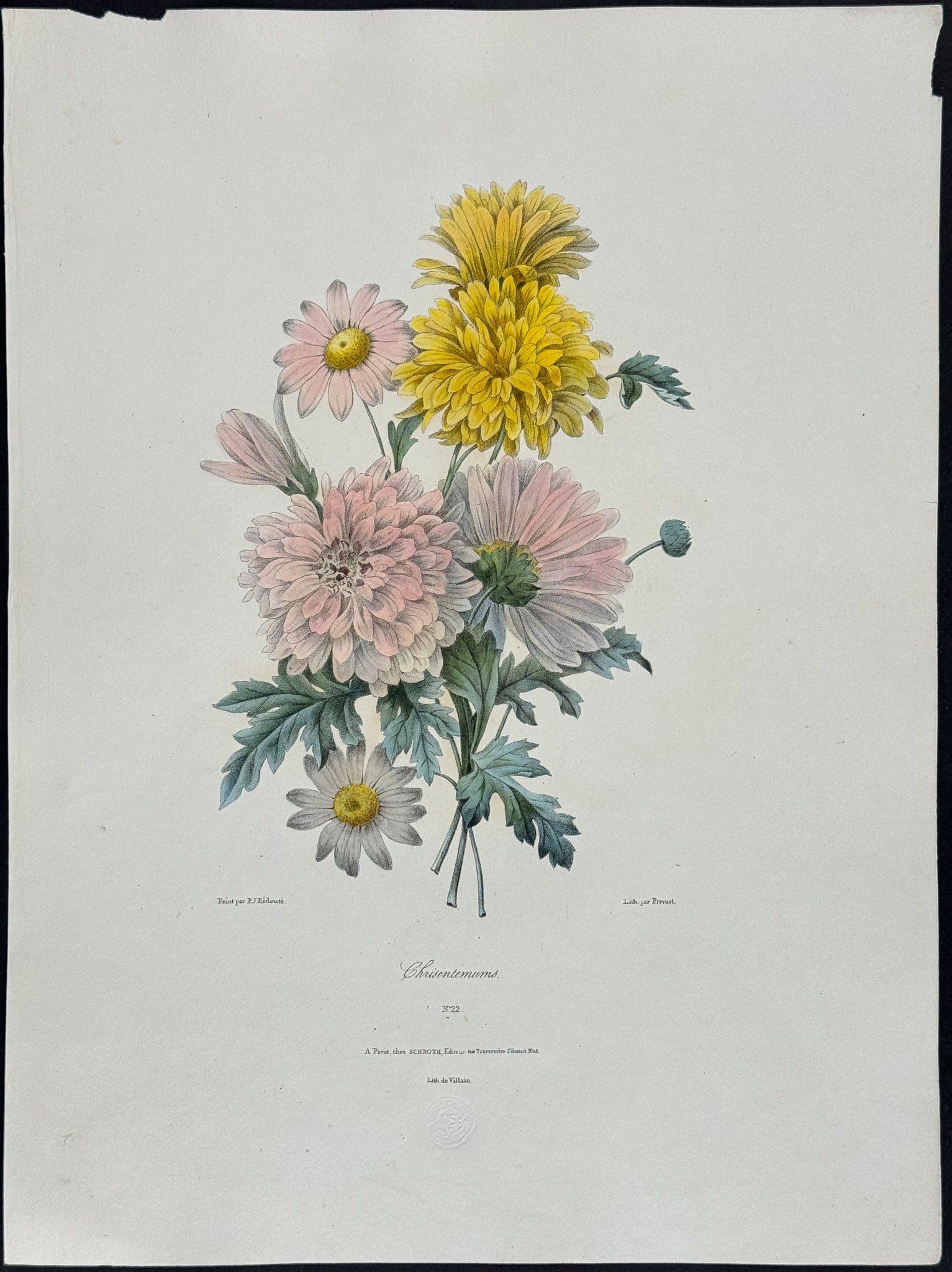 Redoute & Villain, Rare - Bouquet of Flowers: Chrysanthemums. 22: This lovely and exceedingly rare hand-colored lithograph is an untitled work involving Pierre Joseph Redoute. It seems to now be referred to as Bouquet des Fleurs. The spine had been titled Fleurs de 