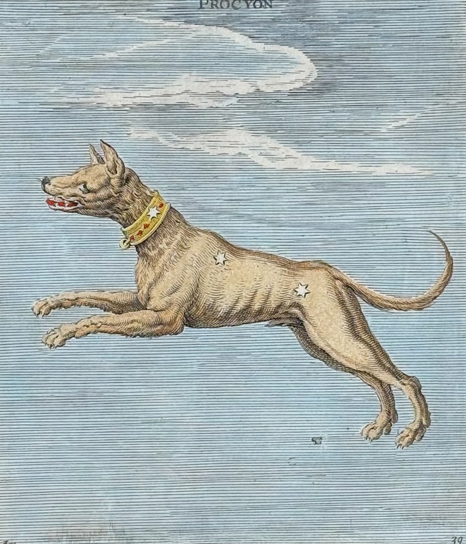 Gheyn - Procyon, Canis Minor or The Dog, Celestial Chart (1 of 2)