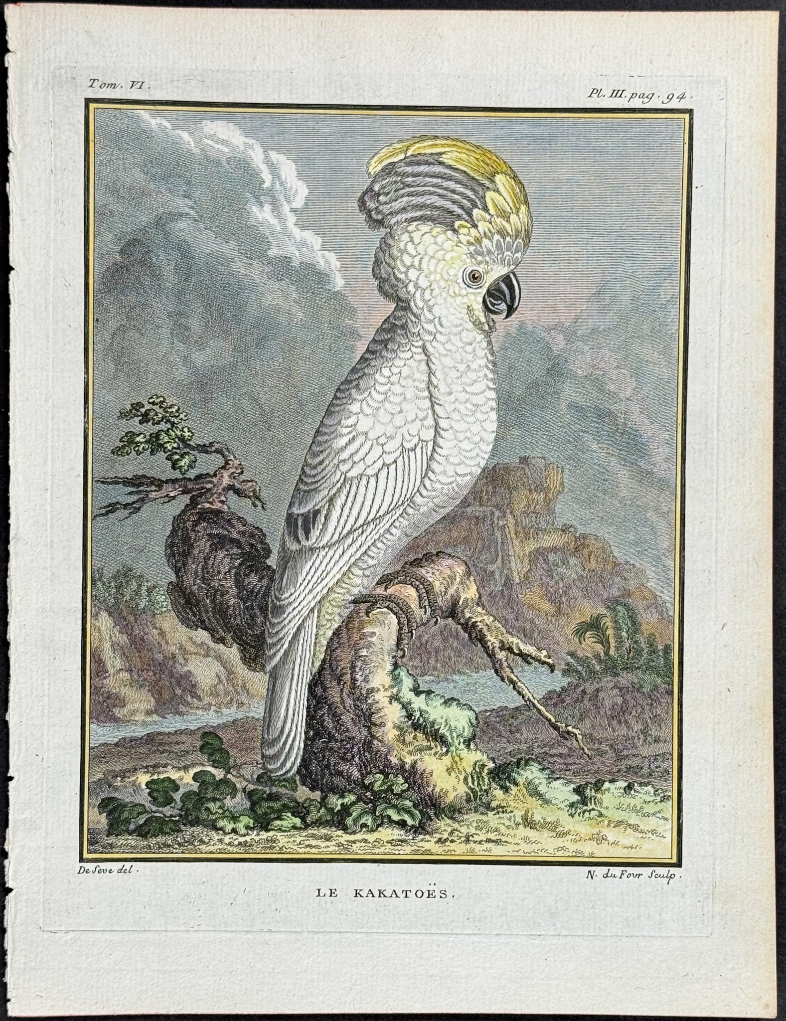 Buffon - Cockatoo. 3 (1 of 1)