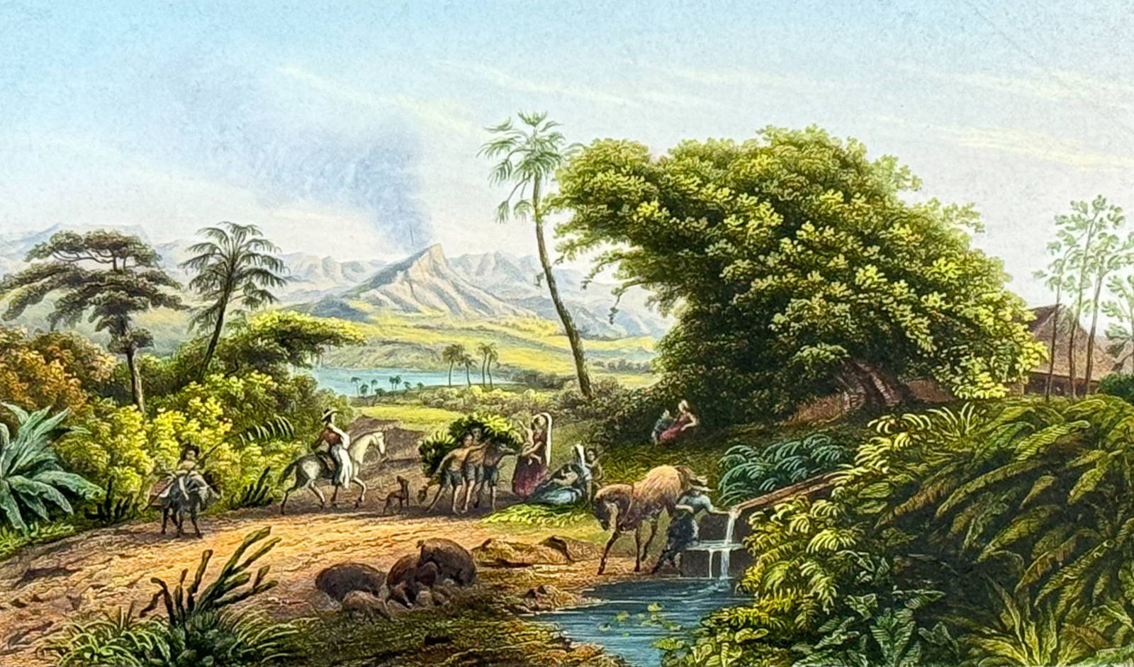 Strickler Volcano, Vucan Jorullo, Mexico Auction