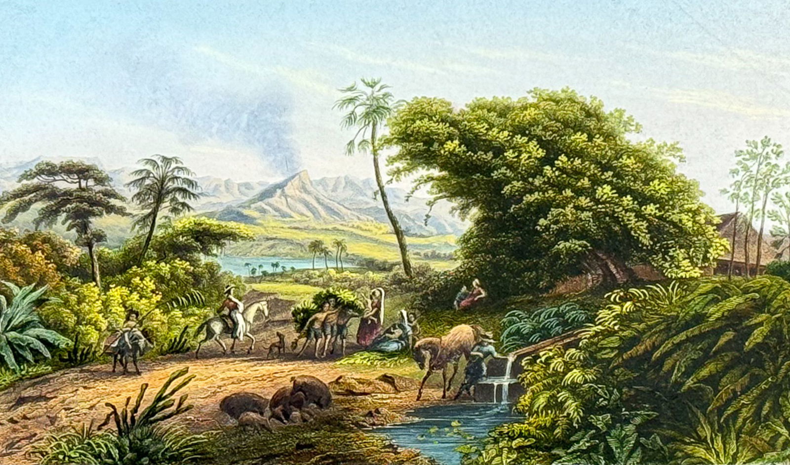 Strickler Volcano, Vucan Jorullo, Mexico Auction