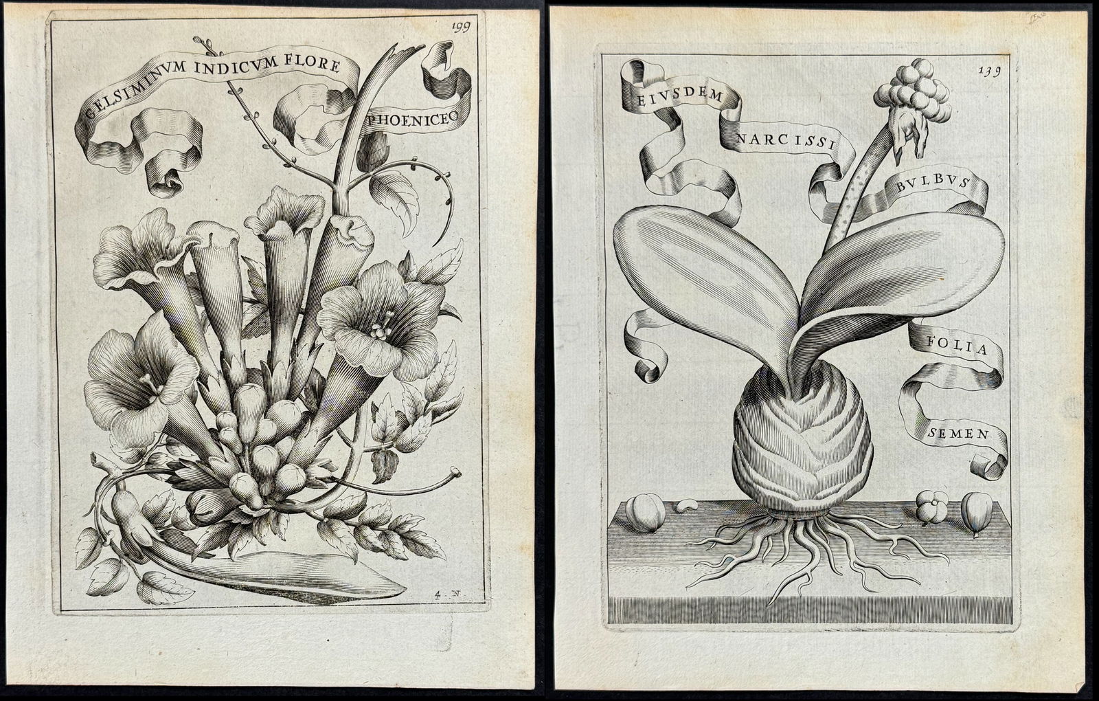 Ferrari - 10 Botanical Engravings (1 of 11)