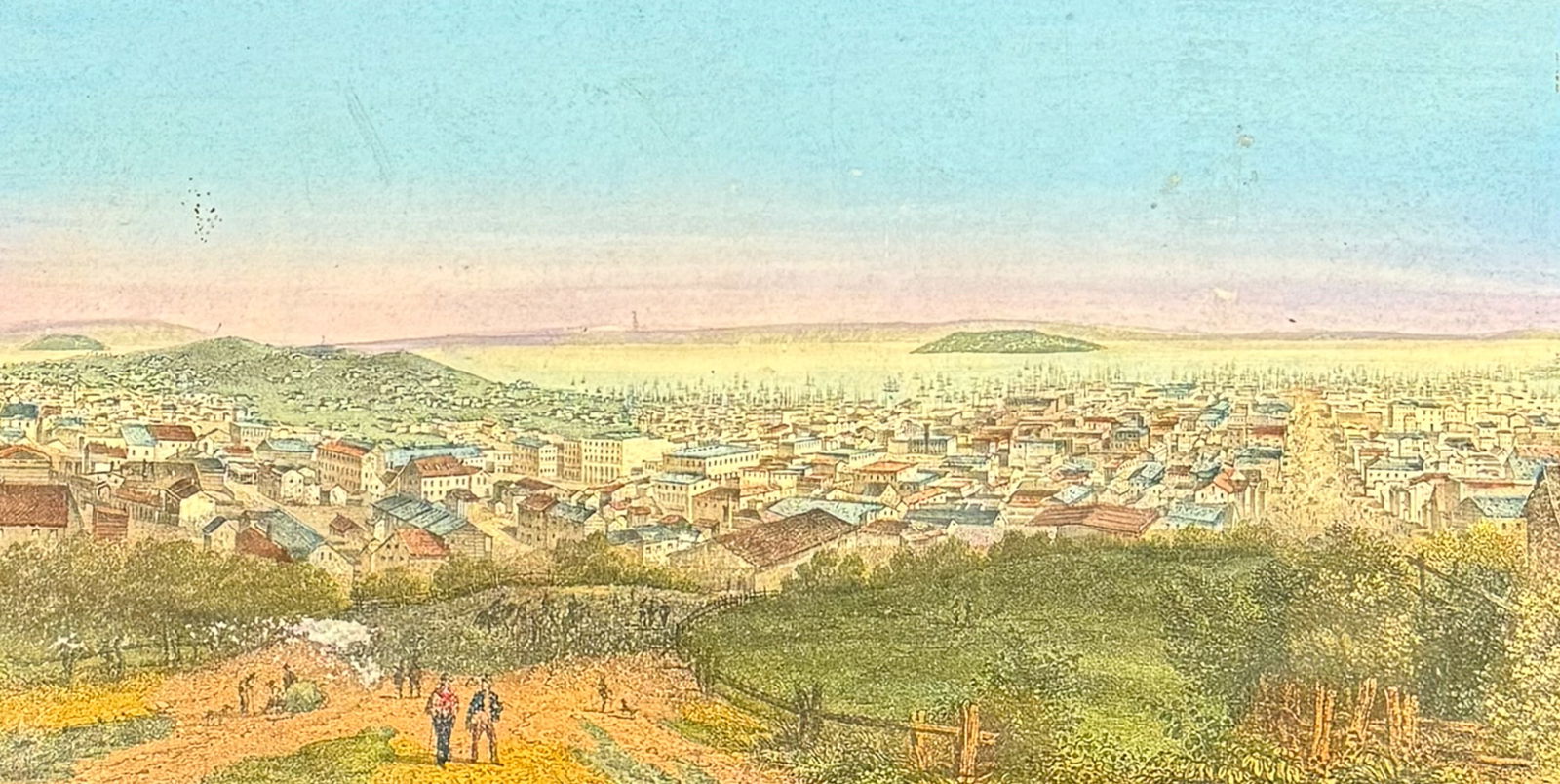 Magnus - View of San Francisco, California (1 of 2)