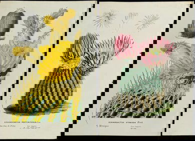 Van Houtte - Pair of Cactus Prints