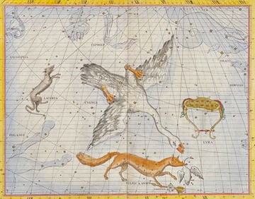 Flamsteed, Folio - Lyra (Lyre), Cygnus (Swan), Lacerta, Vulpec (Wolf) & Anser Sagitta (Arrow)