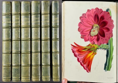 Moore & Dombrain's Floral Magazine - Six Volumes with 368 Botanical Lithographs