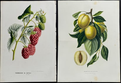 Van Houtte - Pair of Fruit Prints: Strawberry & Plum