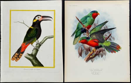 Lot of 7 Bird Prints