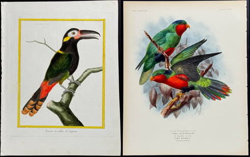 Lot of 7 Bird Prints: Two engravings from Brown including Great Ceylonese Eared Owl Crested Cardinal This originally hand-colored engraving is from Peter Brown's New Illustrations of Zoology, Containing fifty coloured plat