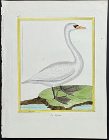 Martinet & Buffon - Swan. 913