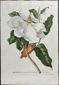 Trew & Ehret - Magnolia