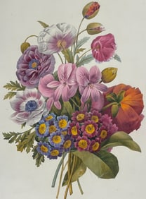 Redoute, Folio - Floral Bouquet - Anemone, Geranium, Primula or Auricula, Poppy