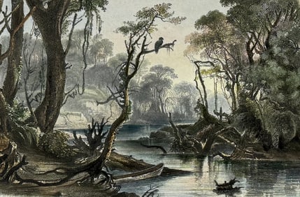 Karl Bodmer - Cut-Off River, Branch of the Wabash. 8