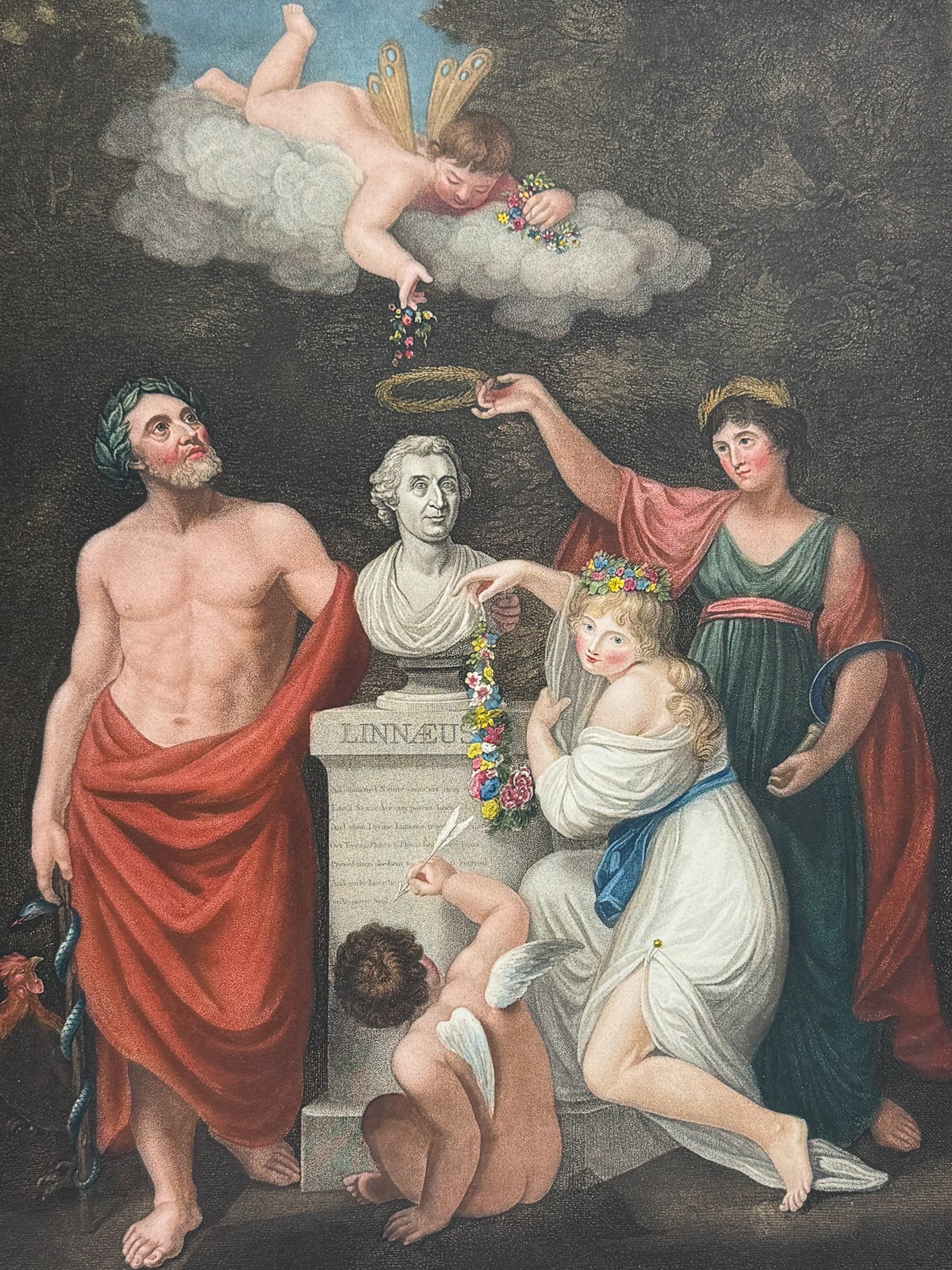 Thornton, Folio - Asculapius Flora, Ceres, and Cupid honouring the Bust of Linnaeus: This dramatic large folio botanical engraving is from Dr. Robert John Thornton?s work New Illustration of the Sexual System of Carolus Von Linnaeus...and the Temple of Flora, or Garden of Nature. This