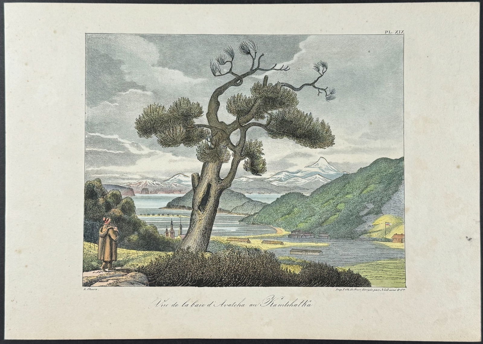 Choris - Avacha Bay, Kamchatka (Russia). 19 (1 of 2)