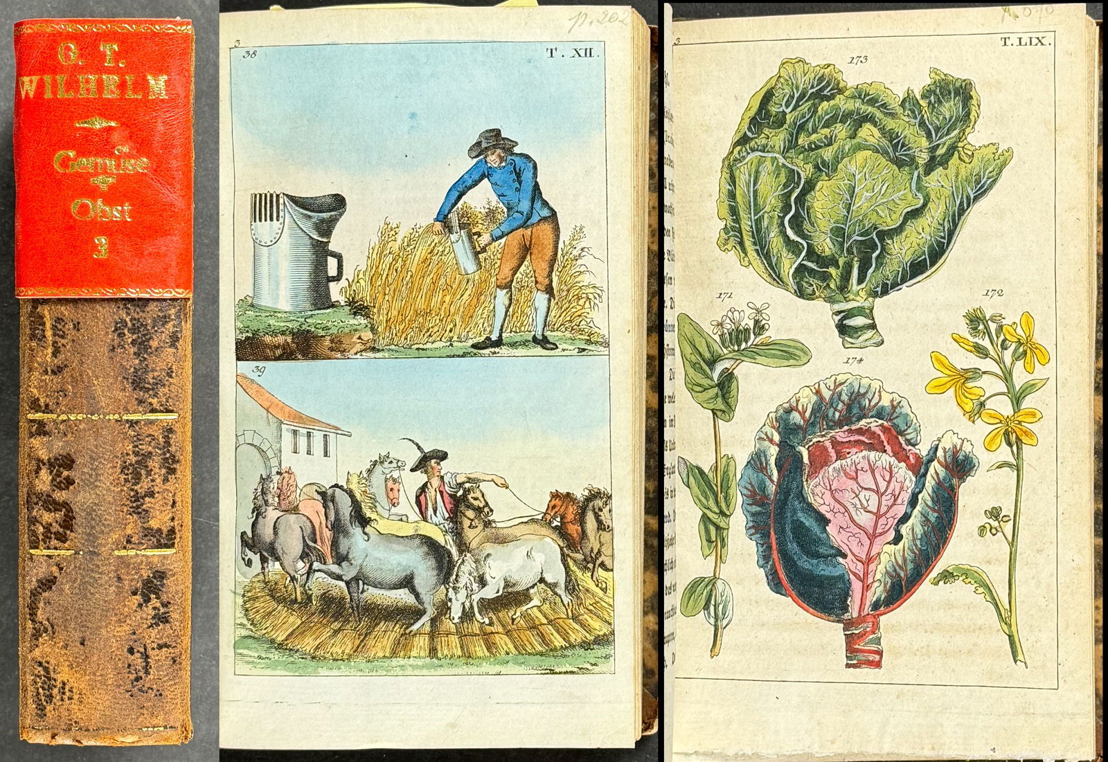 Wilhelm's Natural History - Volume 3 with 68 Botanical Engravings (Predominantly grains, fruits, and (1 of 12)