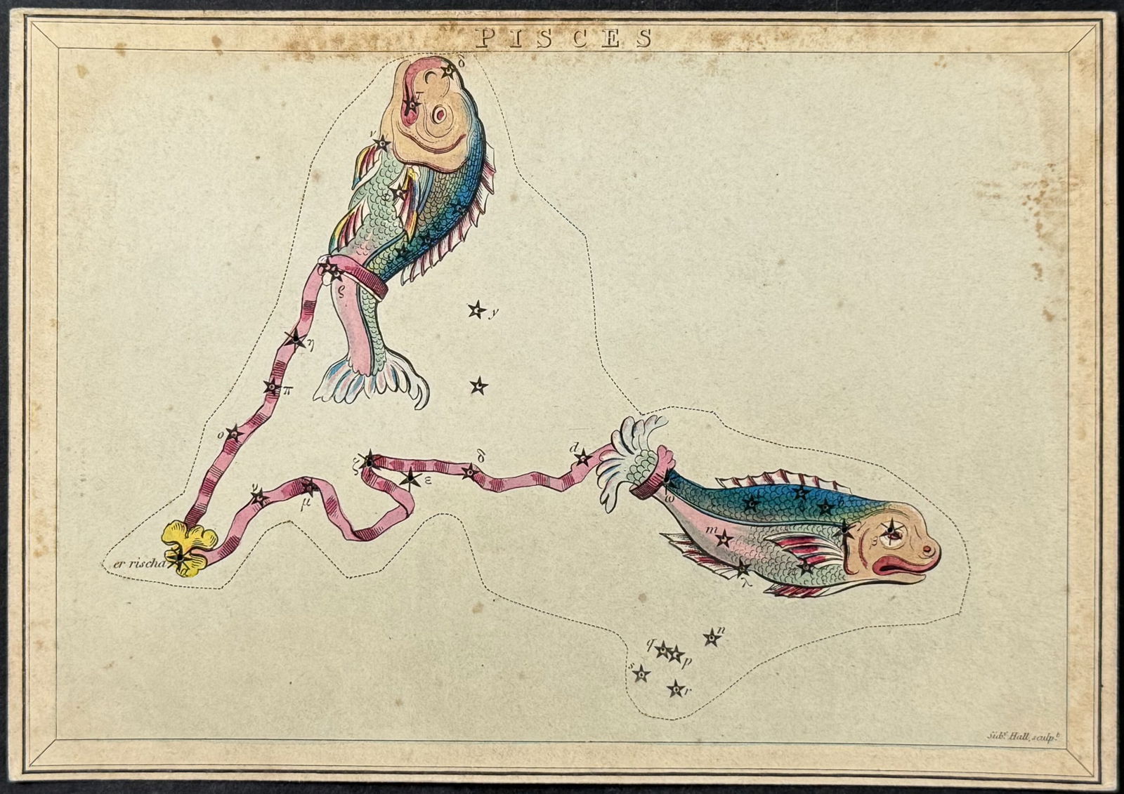 Aspin - Constellation Map of Fish (Pisces) (1 of 1)