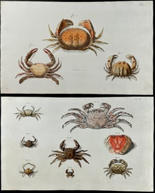 Herbst - Pair of Crab Engravings