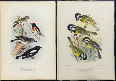 Mathews, Australia - 11 Original Parts with 66 Bird Lithographs