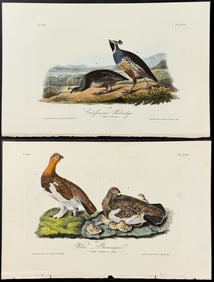 Audubon - 3 Bird Lithographs: Ptarmigan, Partridge
